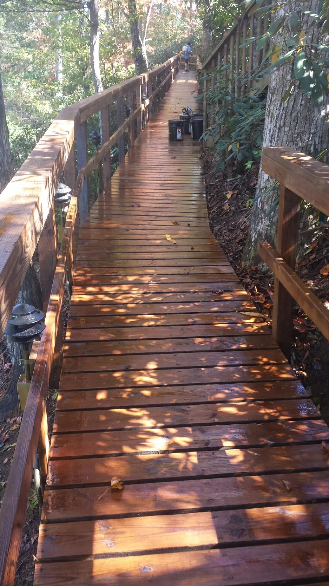 Freshly stained wood walkway winding through the woods in Mechanicstown